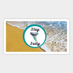 Stay Salty by the Shore Light Blue Atlantic Fossils Shark Tooth Print Sticker